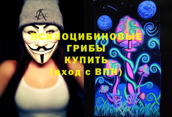 ГАЛЛЮЦИНОГЕННЫЕ ГРИБЫ Абинск