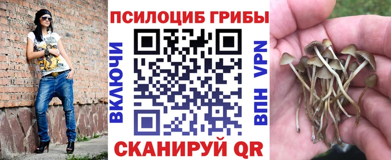 KRAKEN   Альметьевск  Галлюциногенные грибы GOLDEN TEACHER 
